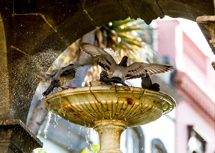 Aminta 3* Лас-Пальмас-де-Гран-Канария