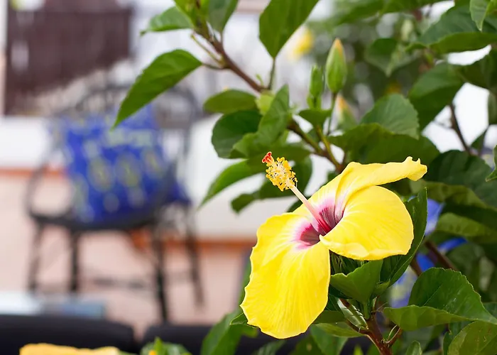 Aminta 3* Лас-Пальмас-де-Гран-Канария