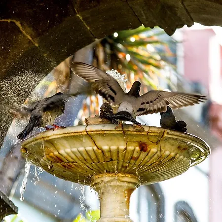 Aminta 3* Las Palmas de Gran Canaria