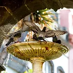 Aminta Charmy In Vegueta 3* Las Palmas de Gran Canaria
