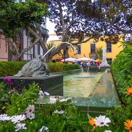 Aminta Las Palmas / Gran Canaria